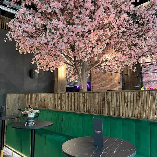 Sky Bar