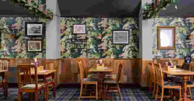 The Snug