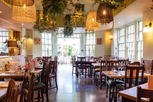 Biophilic dining space at The Hare, ideal for corporate luncheons and boutique networking events.