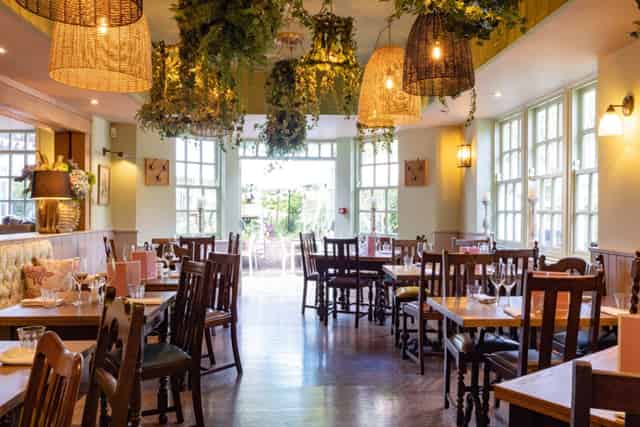 The Snug