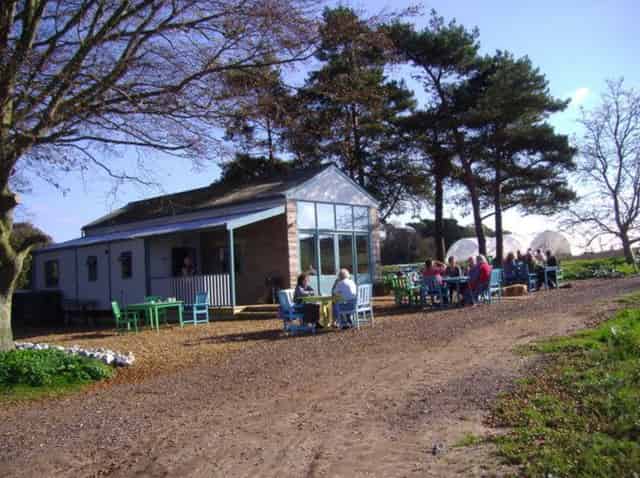 Outdoor Terrace