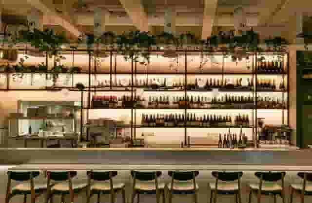 Steam Wine Bar