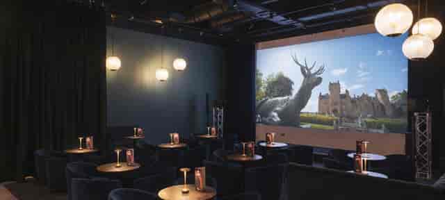 Sophisticated Fusion lounge with plush seating and AV screen for private events and mixers.