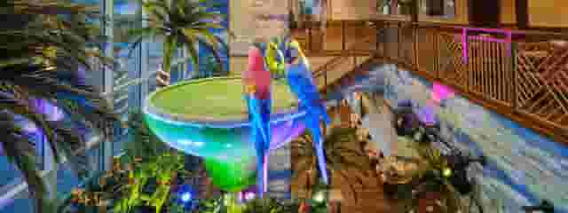 Palms Caribbean Fusion