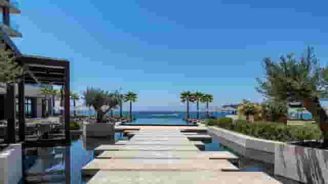 Palms Caribbean Fusion