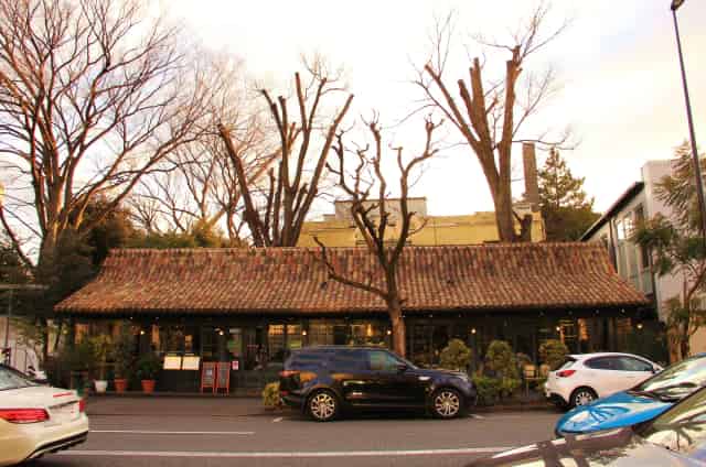 Terrace