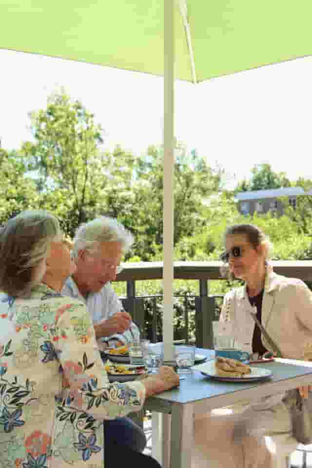 Cafe Terrace