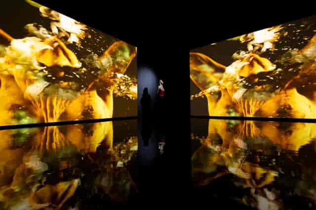 Showspace immersive projection mapping setup for luxury brand activations and interactive events.