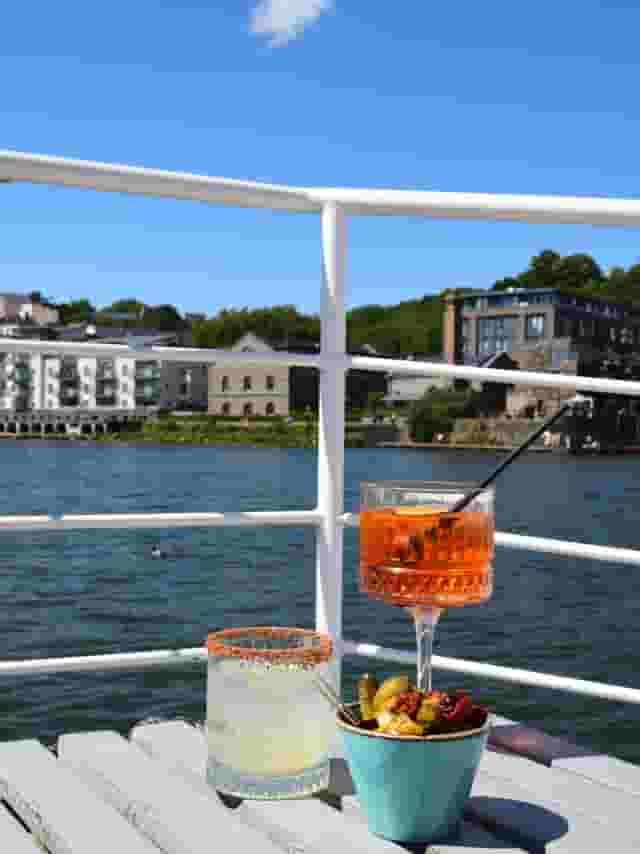 Greenshank
