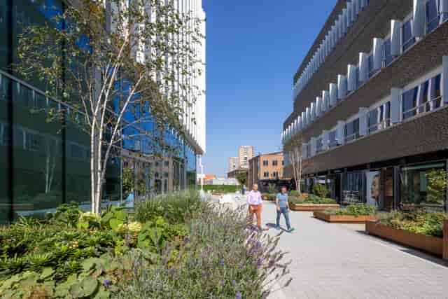 Modern outdoor breakout space with greenery for networking events and alfresco registration.