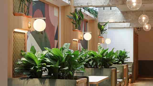 Biophilic writing rooms with semi-private booths for high-end networking and breakout events.