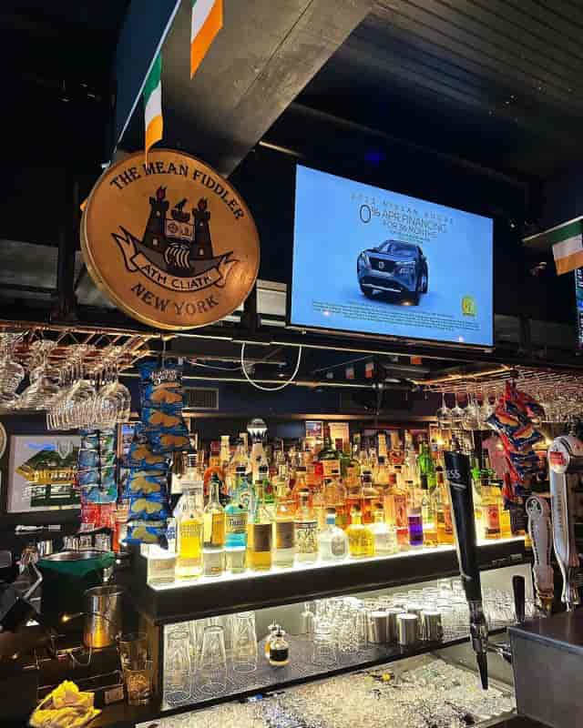 Woo Woo NYC at The Mean Fiddler: Casual bar venue for corporate networking mixers.