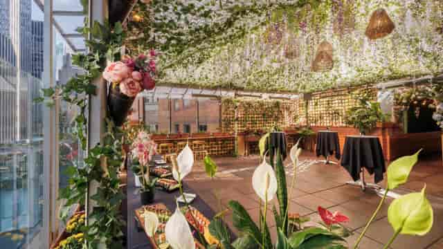 Rooftop deck event space at Playwright Celtic Pub with biophilic ceiling for cocktail receptions.