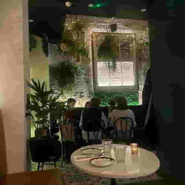Indoor Garden