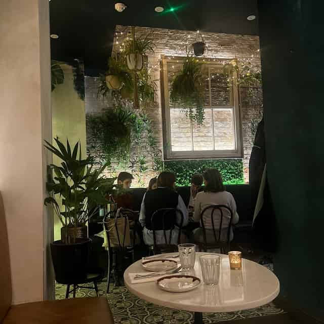 Indoor Garden