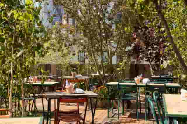 The Courtyard
