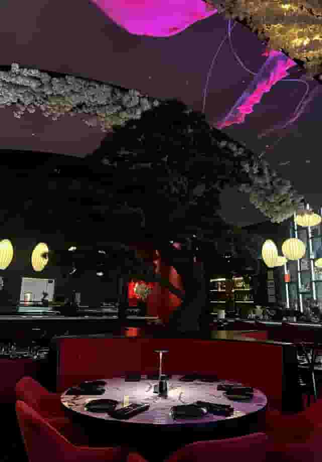 Whole Venue