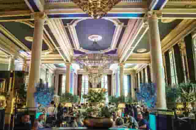 Whole Venue