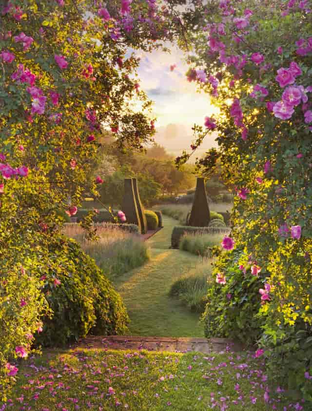 Sunset Garden in Limoncello: luxury garden wedding venue for intimate outdoor events.