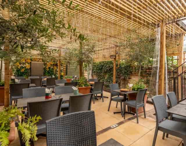 Sunset Garden, Limoncello: Biophilic outdoor venue for networking mixers and social receptions.