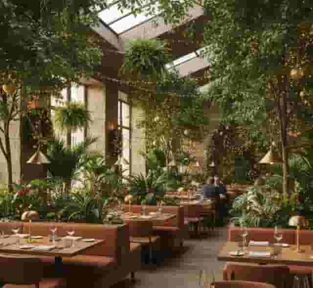 The Terrace and Outdoor Gardens