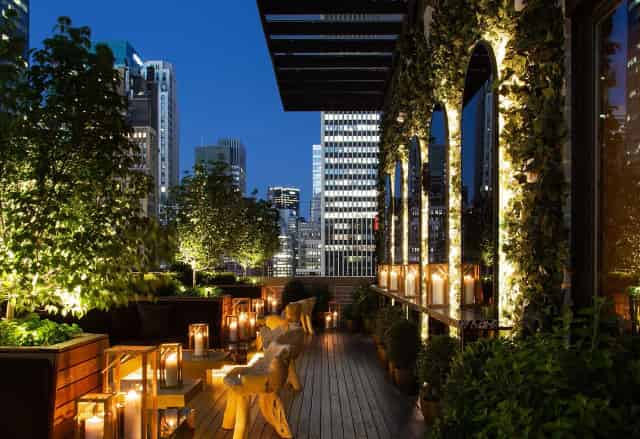 The Terrace and Outdoor Gardens