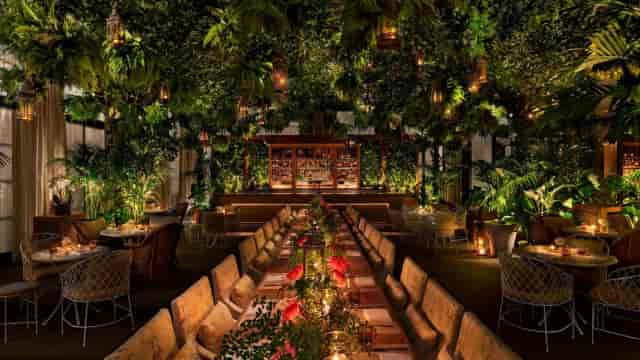 Paradise Club interior with lush greenery for gala dinners and networking soirées.