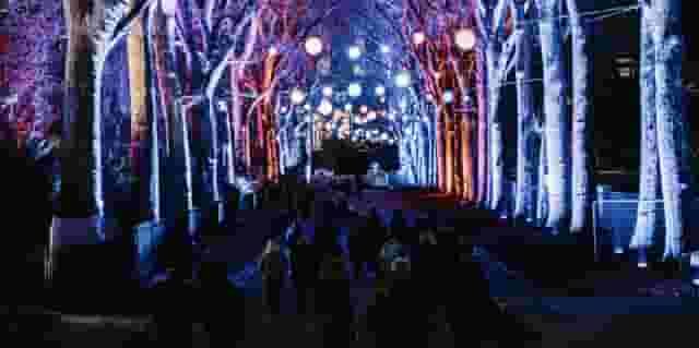 Chelsea Winter Village & Illuminations — Corporate Christmas Parties
