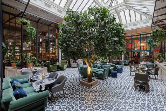 Winter Garden