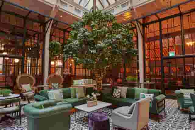 Winter Garden