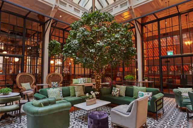 Winter Garden