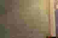 Worcestershire