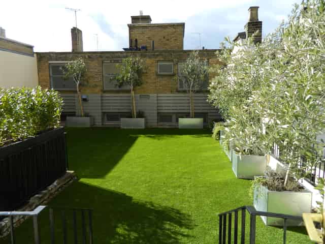 The Rooftop Terrace