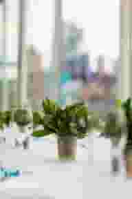Event Venues