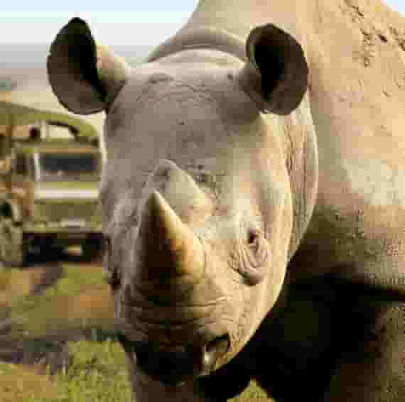 Port Lympne Hotel