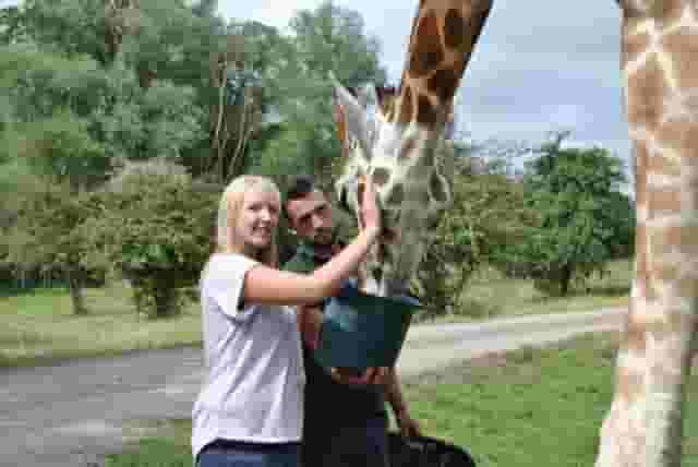 Port Lympne Hotel