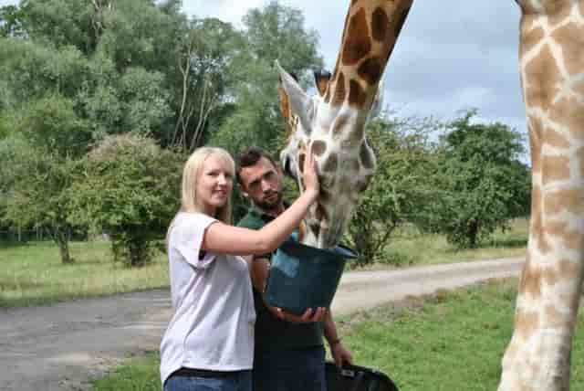 Interactive wildlife experience at Port Lympne Hotel for team-building events.