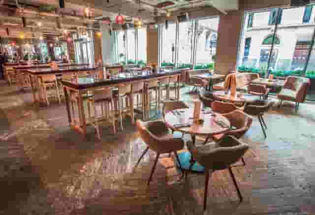 The Anthologist