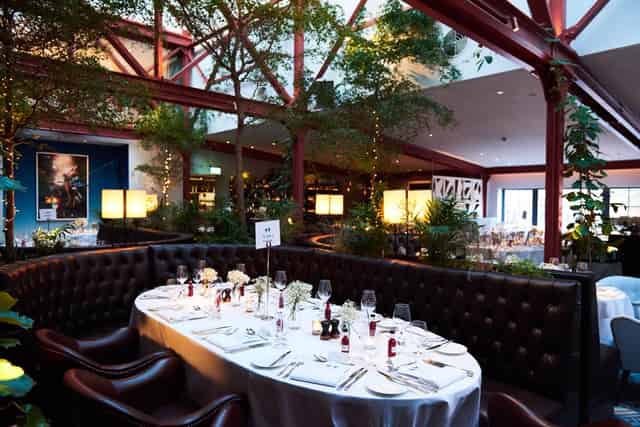 Bluebird Chelsea
