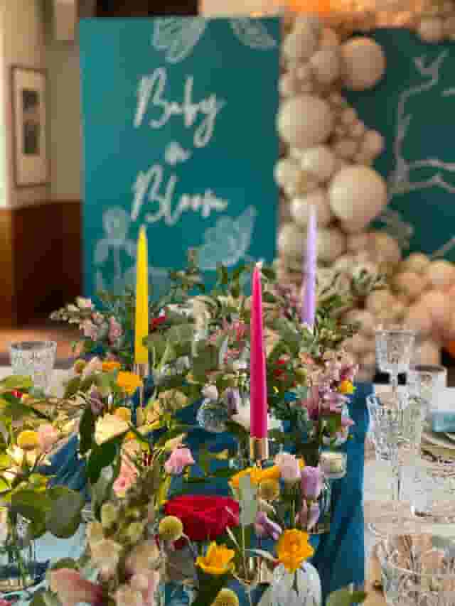 Bluebird Chelsea