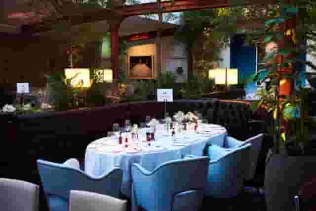 Bluebird Chelsea