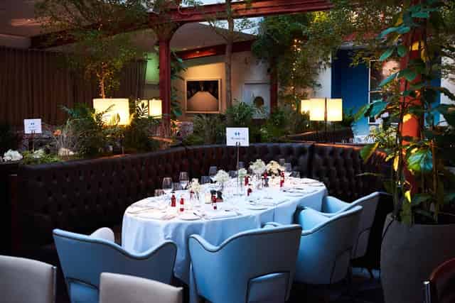 Bluebird Chelsea