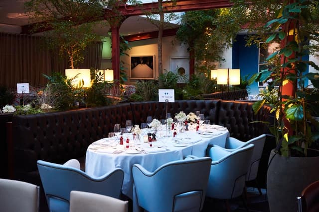 Bluebird Chelsea