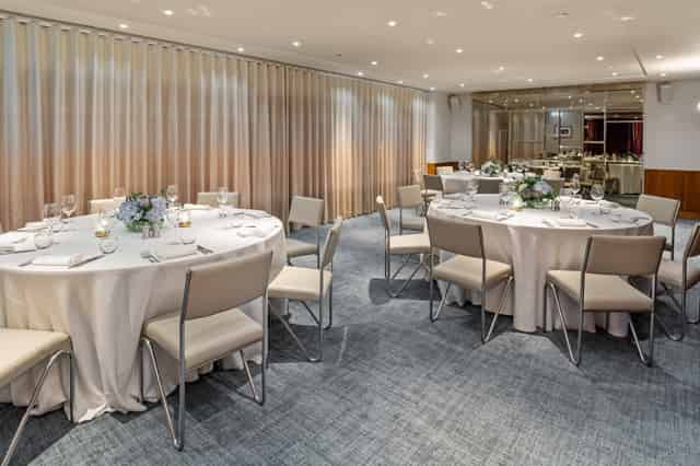 Bluebird Chelsea
