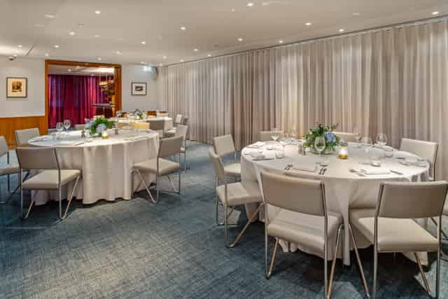 Bluebird Chelsea