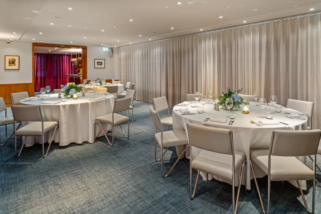 Bluebird Chelsea
