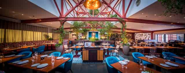 Bluebird Chelsea