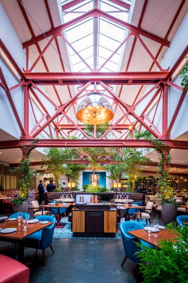Bluebird Chelsea