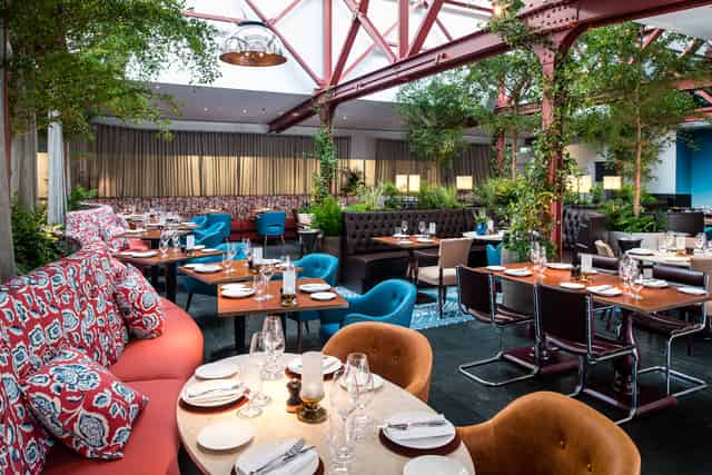 Bluebird Chelsea