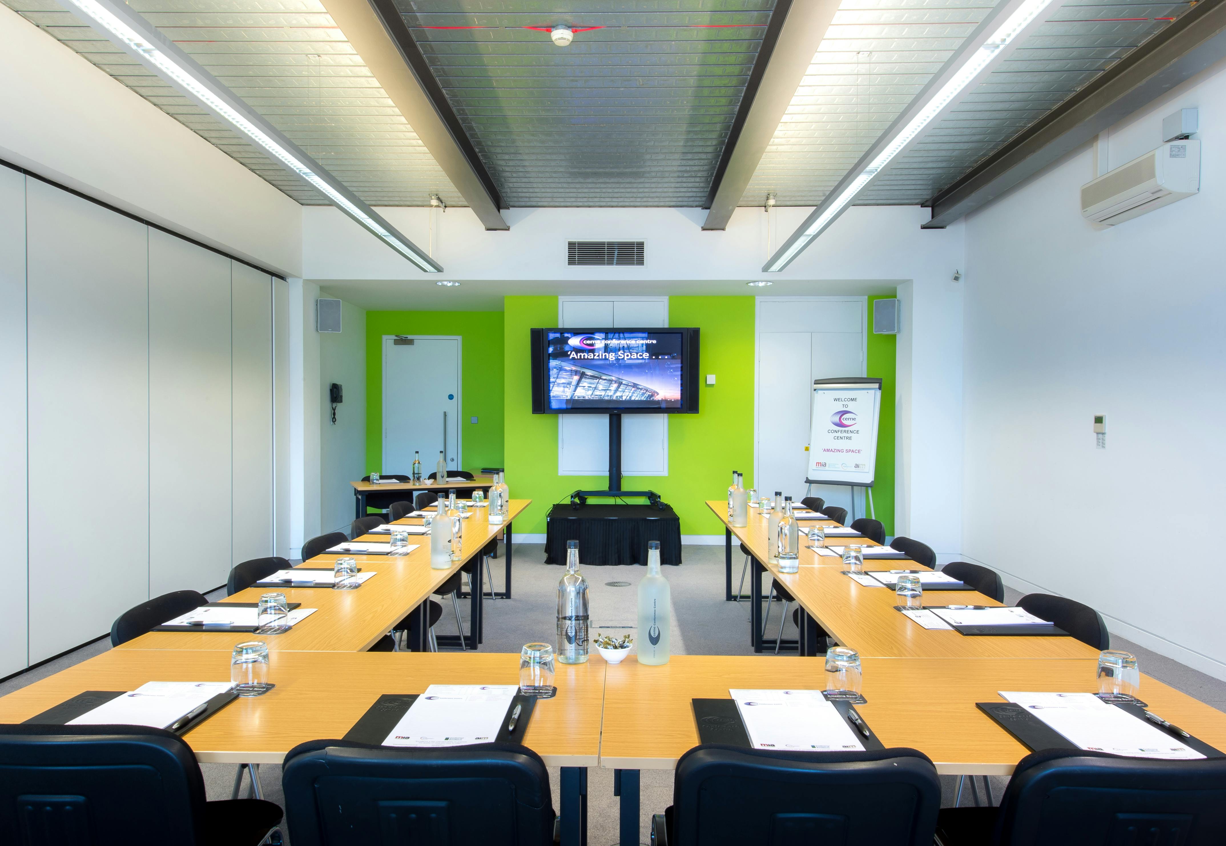 Large Meeting Room - image